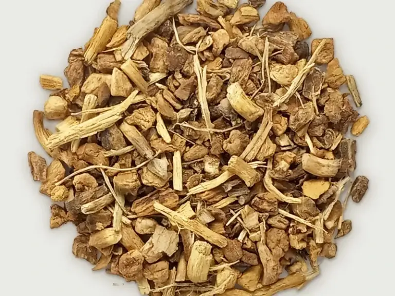 Panax Ginseng
